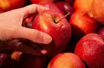  Maçã, chá preto e feijão: veja alimentos que ajudam a recuperar disposição após noite mal dormida